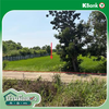 listing thumbnail image 13