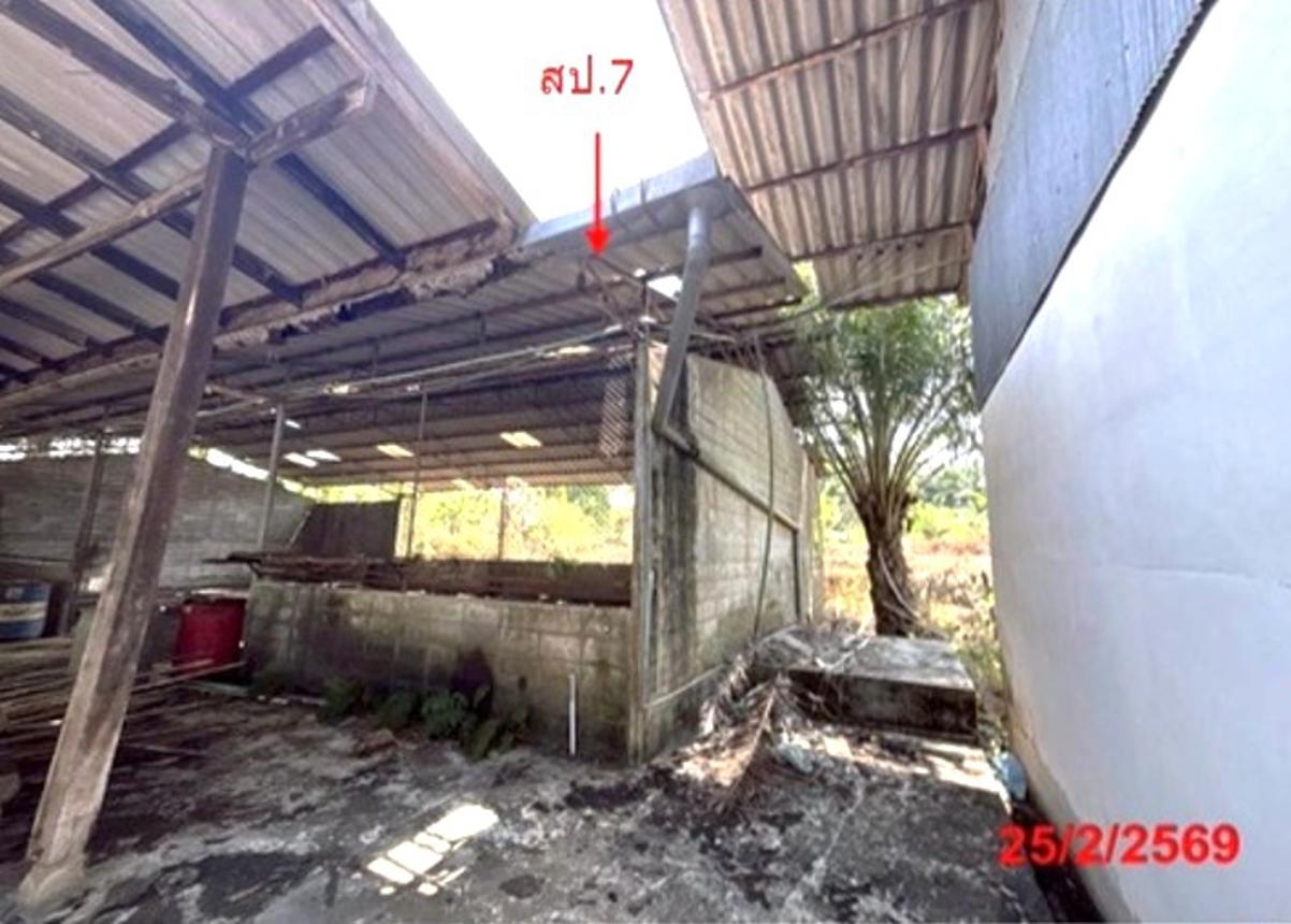 picture FACTORY 6309 Sq.w. Khlong Thom Krabi for 31.7M - 38/56