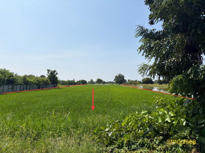 picture LAND 1523 Sq.w. Phrom Phiram Phitsanulok for 3M - 6/16