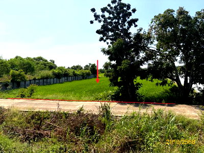 Land for sale Phitsanulok : LAND 1523 Sq.w. Phrom Phiram Phitsanulok for 3M