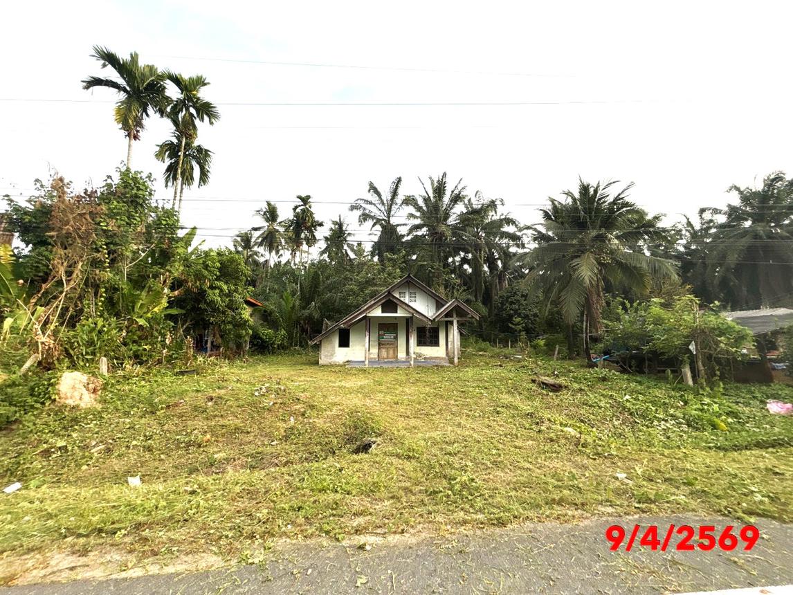 picture HOME 265 Sq.w. Chaiburi Surat Thani for 1.7M - 12/26