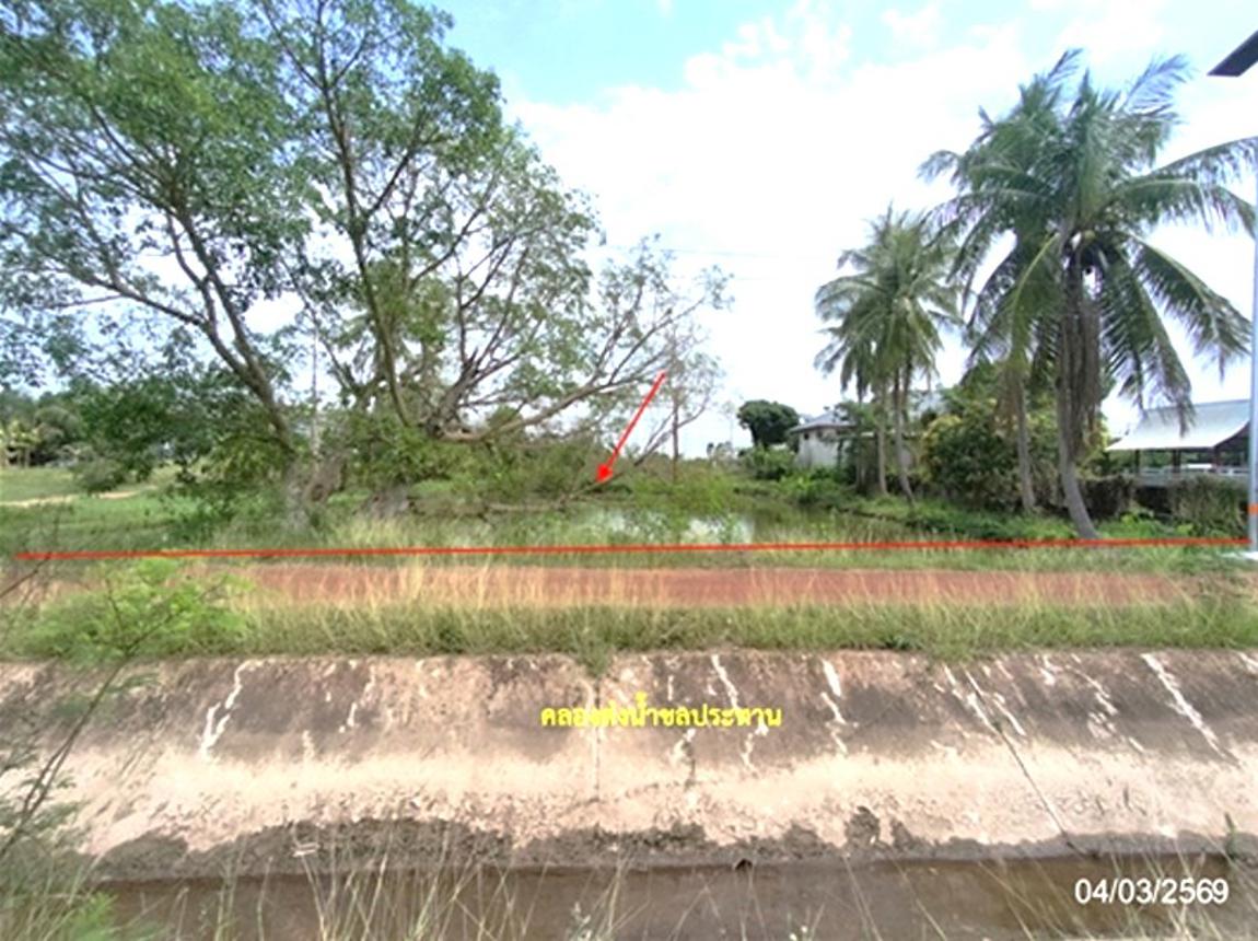 picture LAND 533.5 Sq.w. That Phanom Nakhon Phanom for 3.3M - 18/22