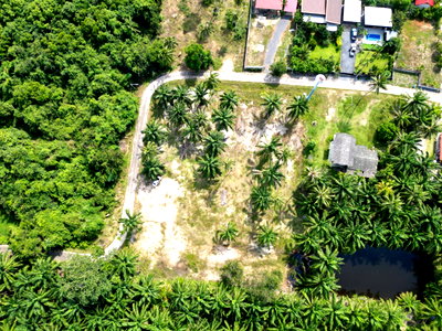 Land for sale Nakhon Sri Thammarat : Khanom Beachside Land | Prime Tourist Location for Sale