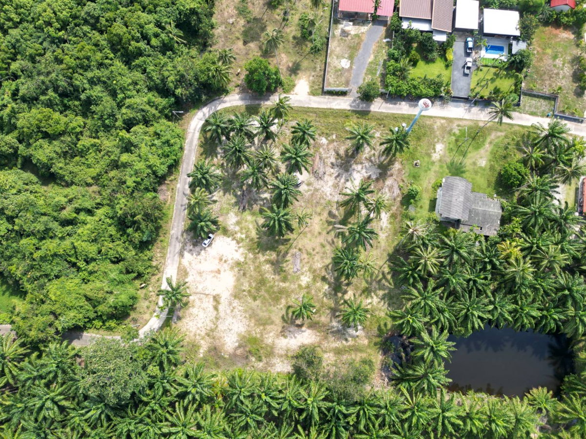 picture Khanom Beachside Land | Prime Tourist Location for Sale - 1/7