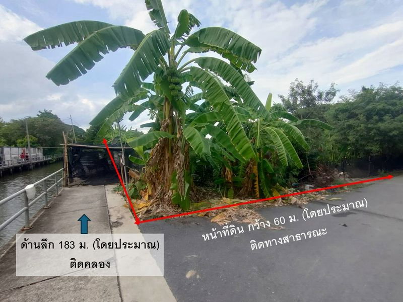 รูป ✨✨✨ที่ดินแปลงสวย 6 ไร่กว่า🌊 ติดคลอง 2 ด้าน📍 ในพุทธมณฑลสาย 2 ซอย 19  - รูปที่ 2/14