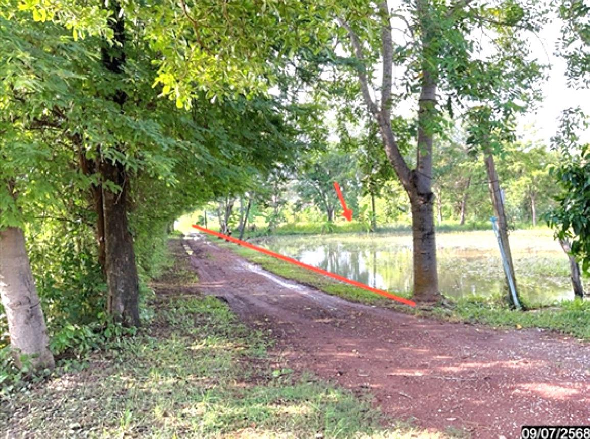 รูป ที่ดินว่างเปล่า 2883.7 ตร.วา เมืองหนองคาย หนองคาย 1.7M - รูปที่ 7/14