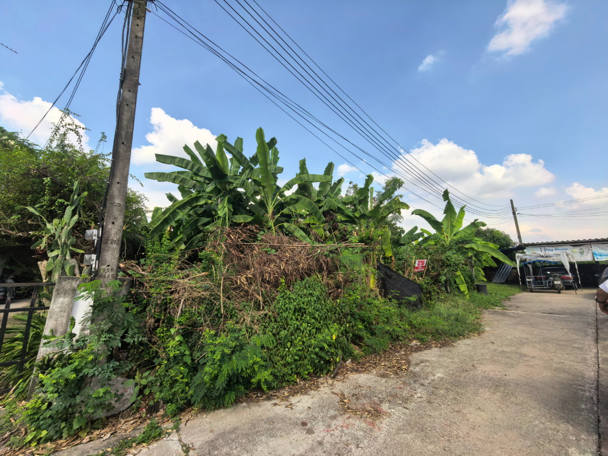 รูป ที่ดินเปล่าคลอง11 หมู่บ้านนริศราซอย4 เหมาะกับสร้างบ้าน - รูปที่ 2/9