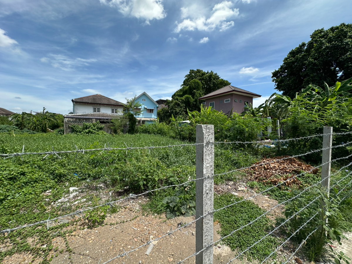 รูป ขายที่ดิน สรงประภา 24 ดอนเมือง 69 ตร.วา เหมาะสร้างบ้าน - รูปที่ 6/6
