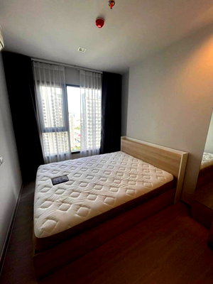 Condos for rent : ✅ LAH157 ✅ Line : @p2nproperty  