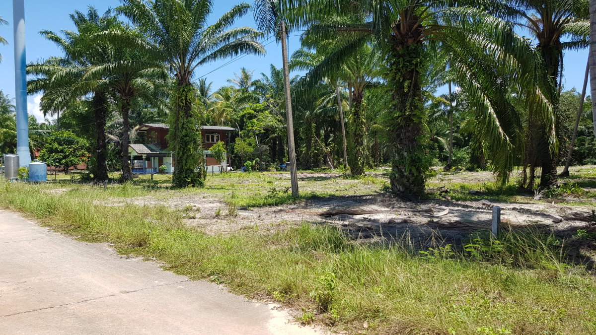 picture Khanom Beachside Land | Prime Tourist Location for Sale - 2/7