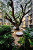 listing thumbnail image 13