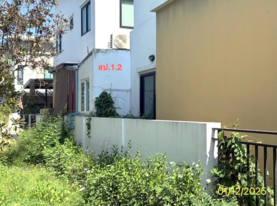 picture TOWN HOUSE 26.4 Sq.w. Lat Lum Kaeo Pathumthani for 2.9M - 11/18