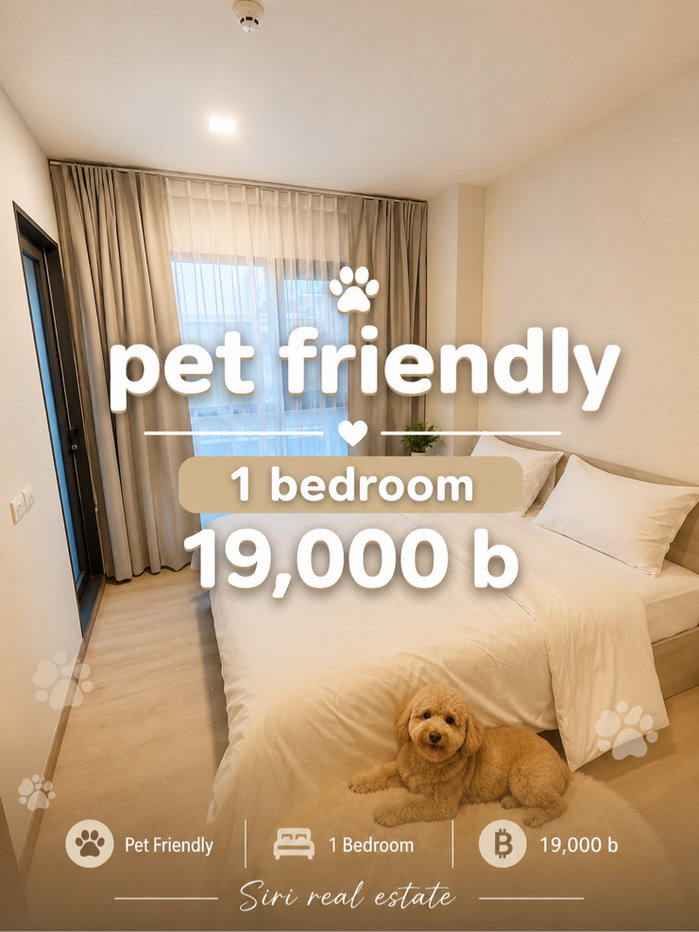 picture 🐶🐱 Pet-Friendly Condo for Rent Maestro 03 Ratchada – Rama 9 - 1/11