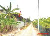listing thumbnail image 19