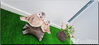listing thumbnail image 26