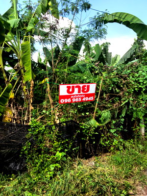 ขายที่ดิน : ที่ดินเปล่าคลอง11 หมู่บ้านนริศราซอย4 เหมาะกับสร้างบ้าน