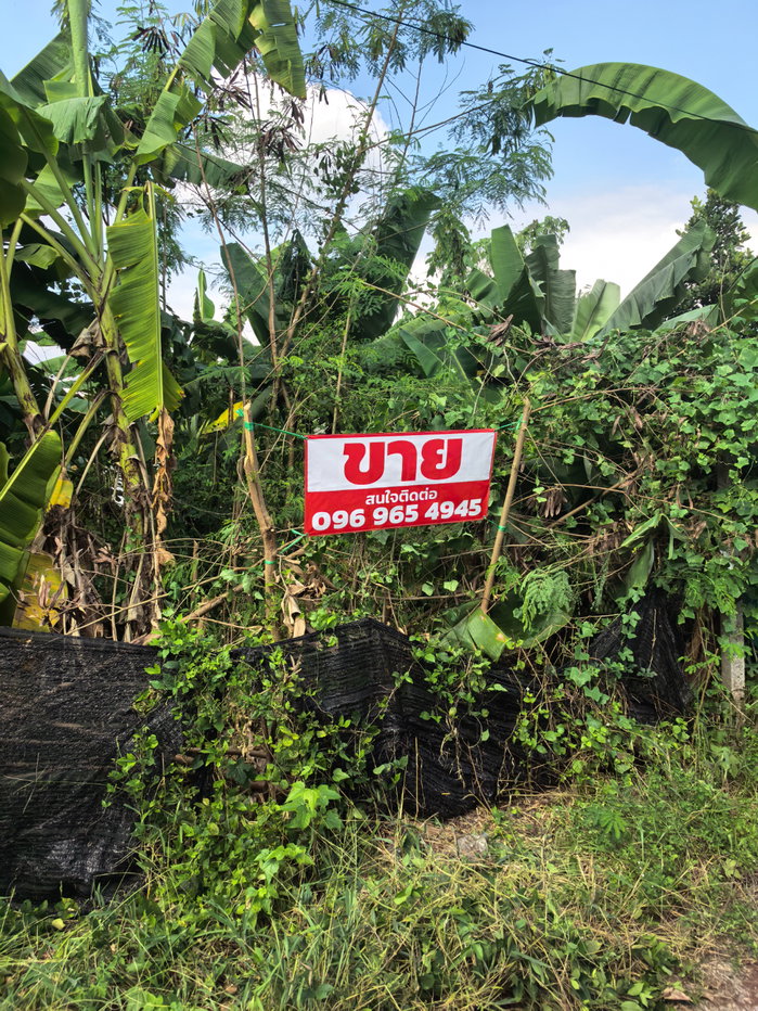 รูป ที่ดินเปล่าคลอง11 หมู่บ้านนริศราซอย4 เหมาะกับสร้างบ้าน - รูปที่ 1/9