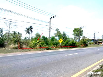LAND 533.5 Sq.w. That Phanom Nakhon Phanom for 3.3M