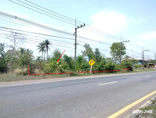 picture LAND 533.5 Sq.w. That Phanom Nakhon Phanom for 3.3M - 1/22