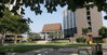 listing thumbnail image 13