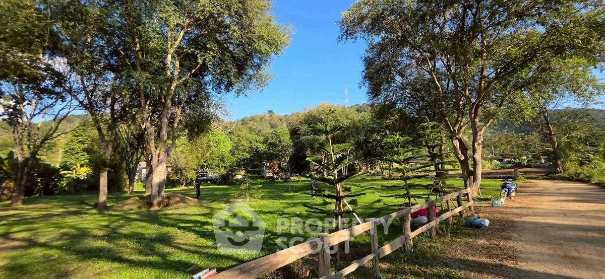 picture 4,040 m² Land for Sale in Samoeng Tai (ID 2934007) - 5/5