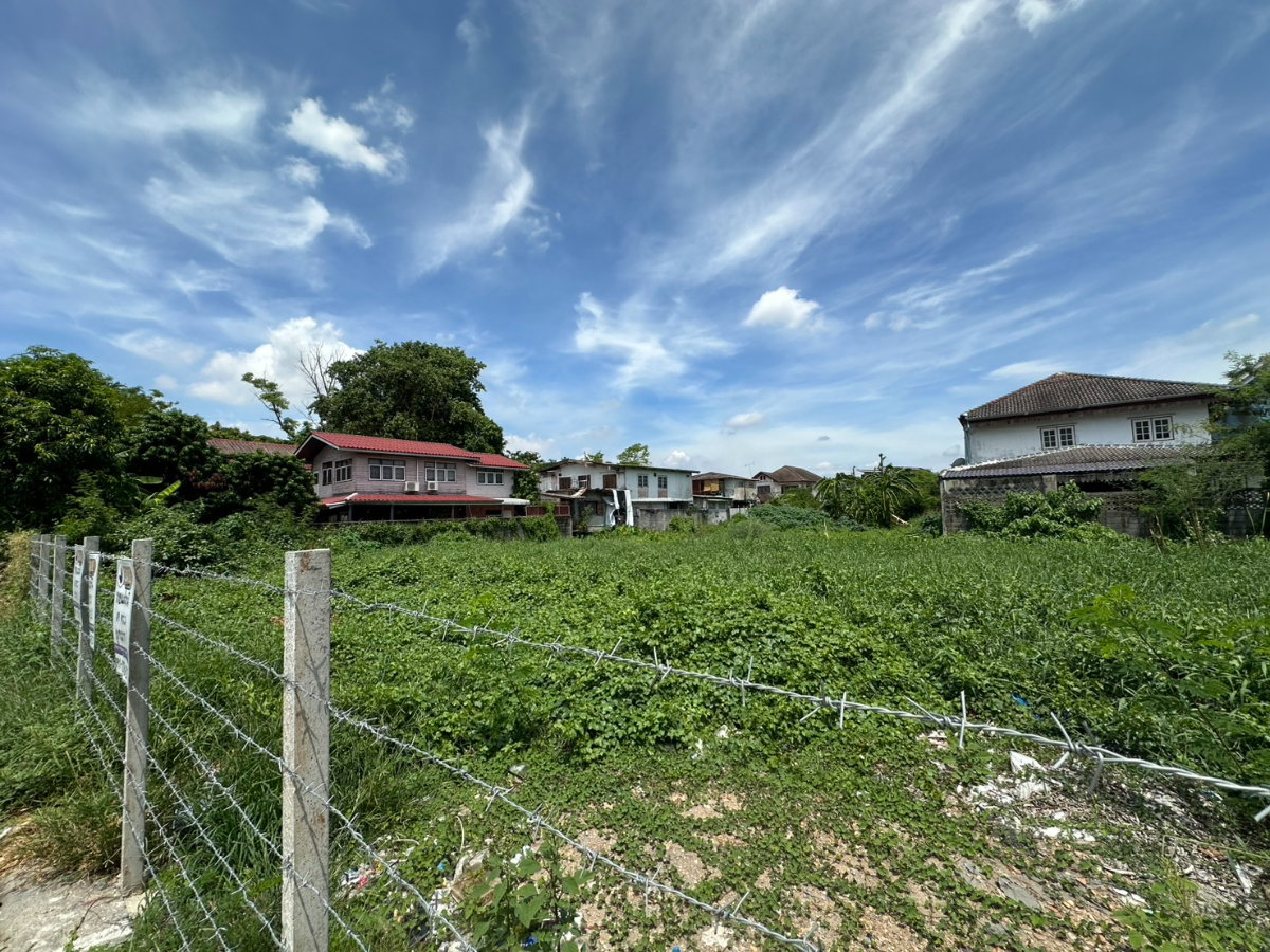 รูป ขายที่ดิน สรงประภา 24 ดอนเมือง 69 ตร.วา เหมาะสร้างบ้าน - รูปที่ 5/6
