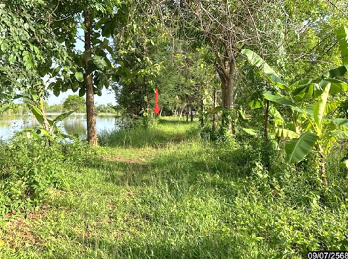 รูป ที่ดินว่างเปล่า 2883.7 ตร.วา เมืองหนองคาย หนองคาย 1.7M - รูปที่ 9/14