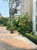 listing thumbnail image 21