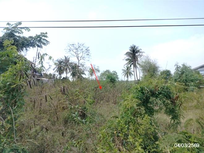picture LAND 533.5 Sq.w. That Phanom Nakhon Phanom for 3.3M - 4/22