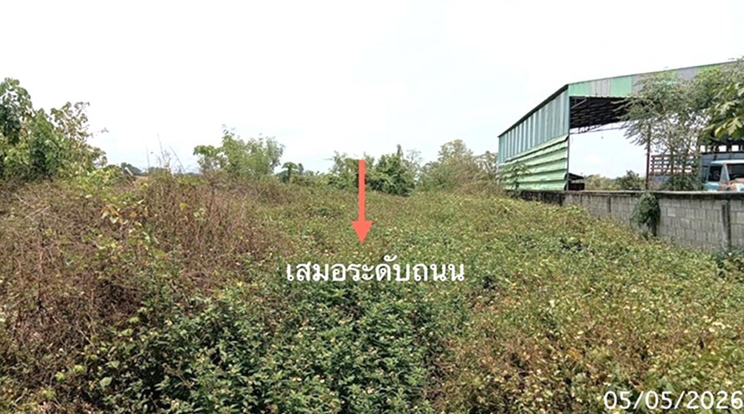 picture LAND 982.1 Sq.w. Muang Phrae Phrae for 3.1M - 10/18