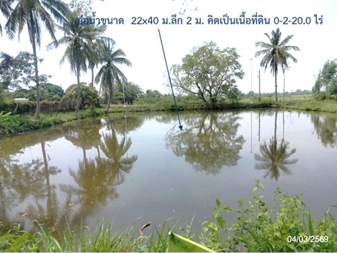 picture LAND 533.5 Sq.w. That Phanom Nakhon Phanom for 3.3M - 7/22