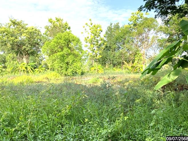 รูป ที่ดินว่างเปล่า 2883.7 ตร.วา เมืองหนองคาย หนองคาย 1.7M - รูปที่ 5/14