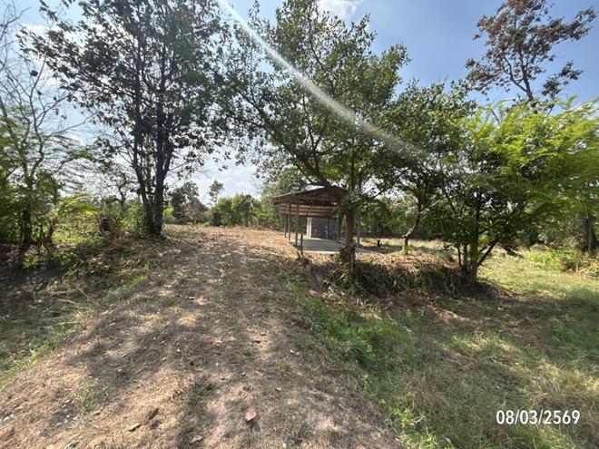 picture FACTORY 4233 Sq.w. Muang Samsip Ubon Ratchathani for 1.7M - 2/24