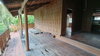 listing thumbnail image 25