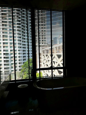 คอนโดให้เช่า : LTHC15604 – Luxury Condo for Rent Langsuan | Spacious Premium Residence | Sindhorn Residence | 170,000 THB