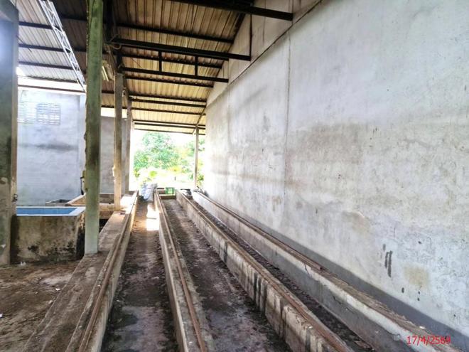 picture FACTORY 1200 Sq.w. Tha Sala Nakhon Sri Thammarat for 3.6M - 6/40