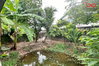 listing thumbnail image 10