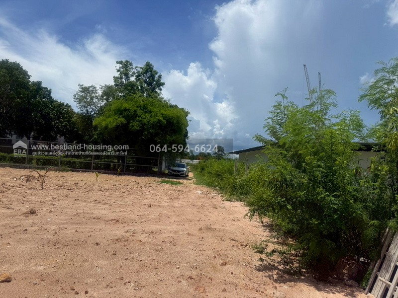 รูป ขายที่ดิน ถมแล้ว 283 ตรว. ซอยชัยพฤกษ์1 (แยกชัยพฤกษ์) พัทยากลาง ใกล้หาดจอมเทียน ทำเลดี - รูปที่ 7/9