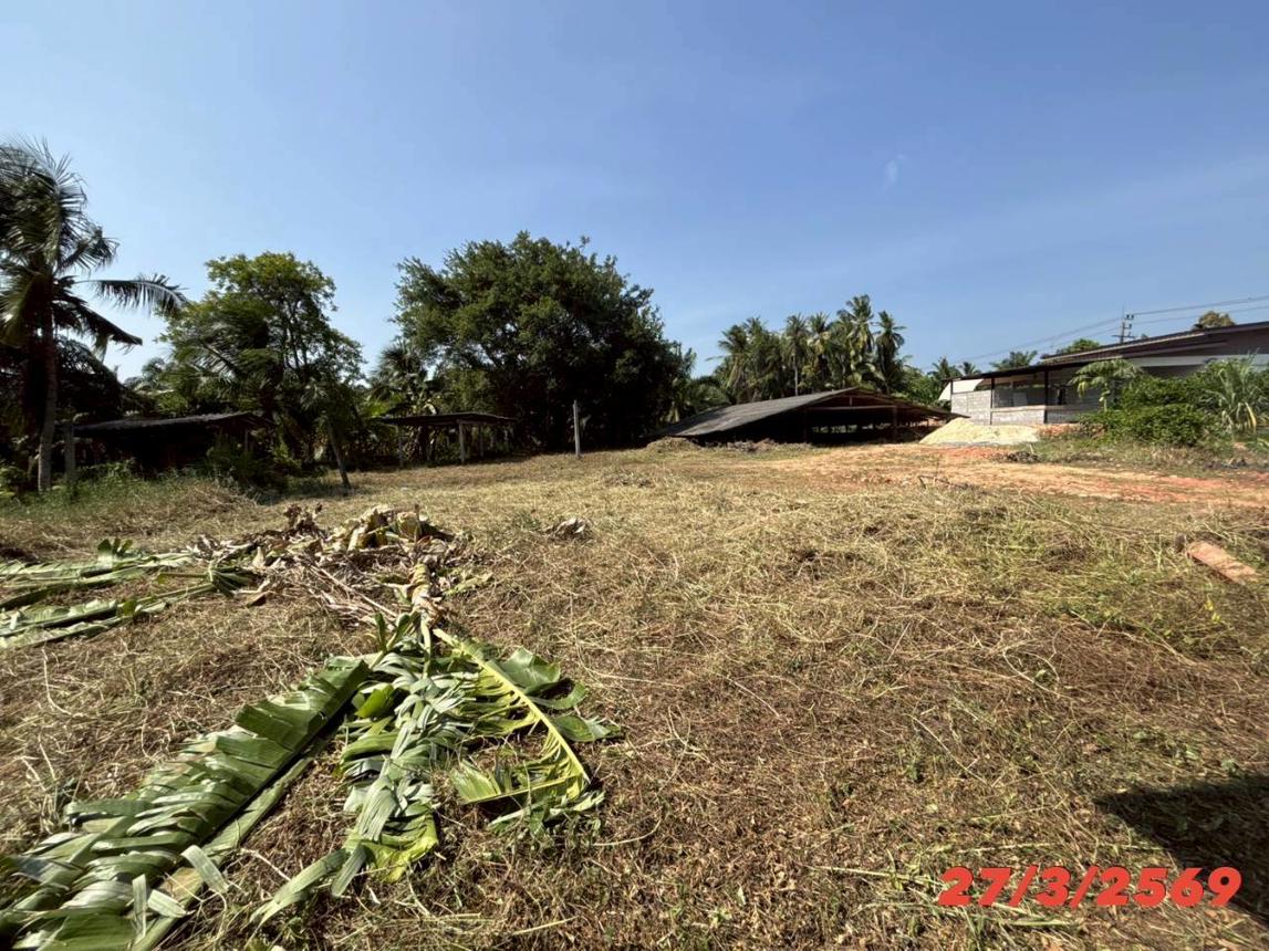 picture FACTORY 3056 Sq.w. Chaiya Surat Thani for 1.6M - 14/22