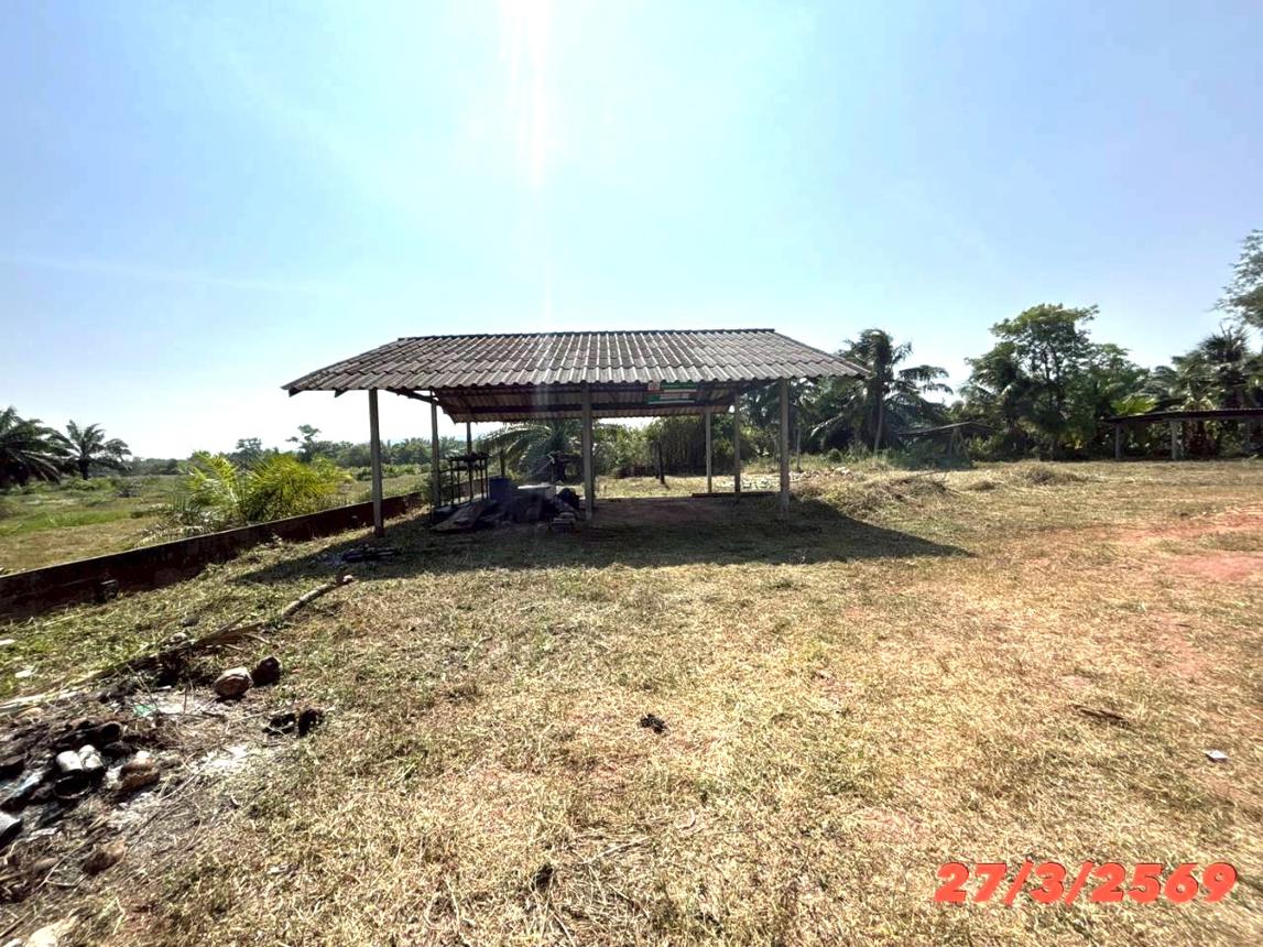 picture FACTORY 3056 Sq.w. Chaiya Surat Thani for 1.6M - 10/22