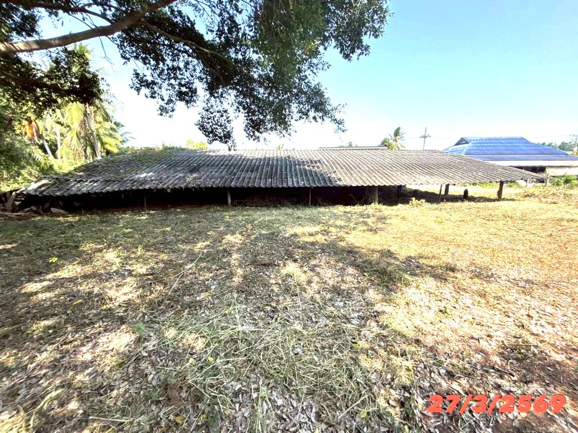 picture FACTORY 3056 Sq.w. Chaiya Surat Thani for 1.6M - 16/22