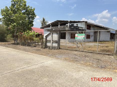 picture FACTORY 1200 Sq.w. Tha Sala Nakhon Sri Thammarat for 3.6M - 37/40