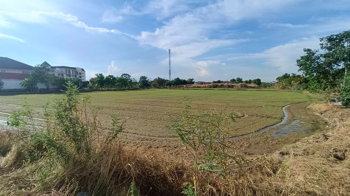 รูป . ขายที่ดิน บางใหญ่เสาธงหิน เนื้อที่ 11-3-71.8 ไร่ หน้ากว้างติดถนน 70 เมตร - รูปที่ 7/10