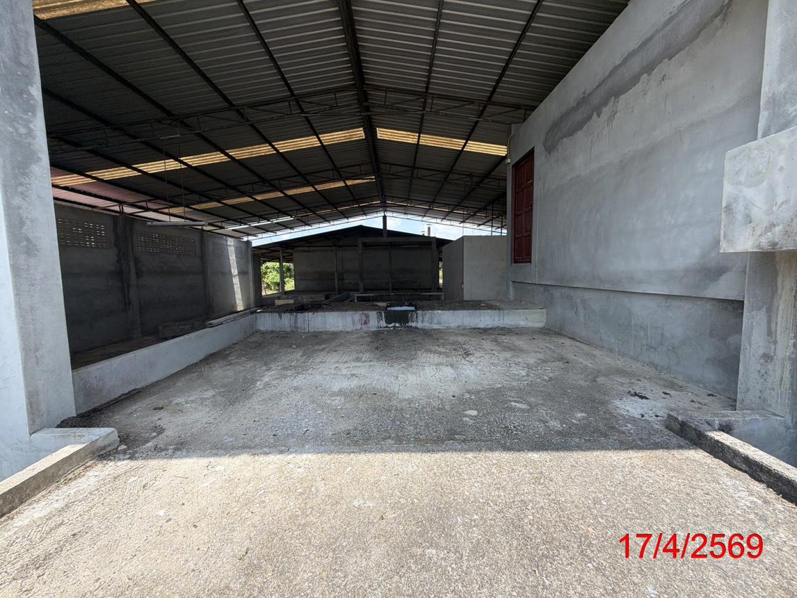 picture FACTORY 1200 Sq.w. Tha Sala Nakhon Sri Thammarat for 3.6M - 22/40