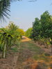 listing thumbnail image 11