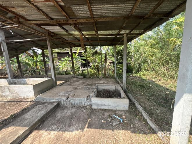picture FACTORY 222 Sq.w. Buntharik Ubon Ratchathani for 1.5M - 12/30