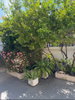 listing thumbnail image 4