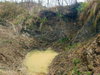 listing thumbnail image 13