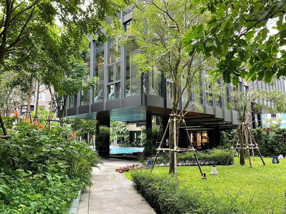 picture 2 Bedroom Condo for Rent at The Base Central Phuket 🏡✨ - 32/39
