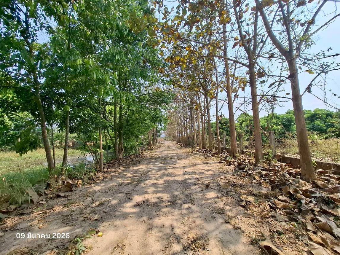 picture FACTORY 2900 Sq.w. Chiang Kham Phayao for 4.2M - 24/40